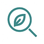 Project Development​ Icon